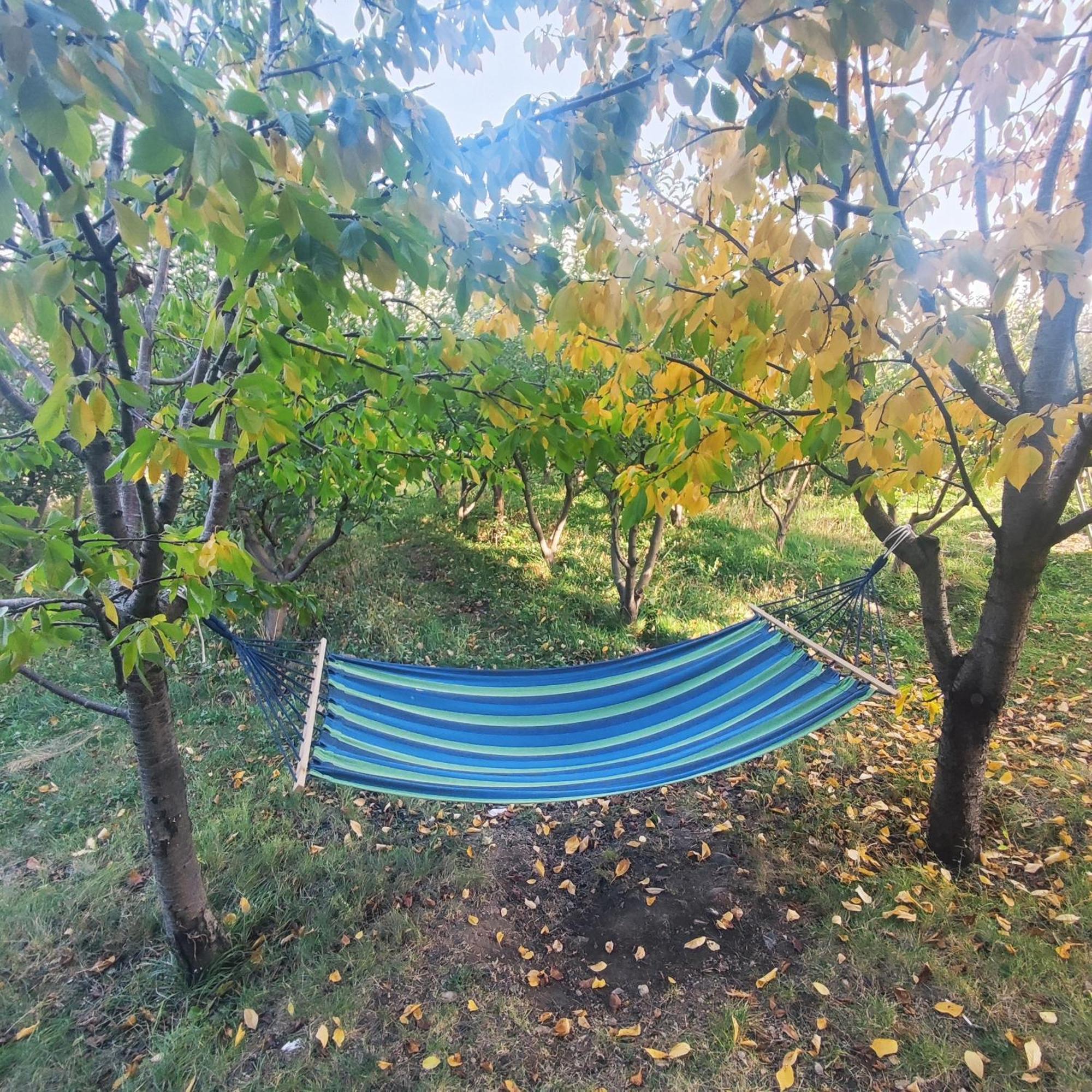 Lanj In Eco Garden/ Guest House Nurnus エクステリア 写真